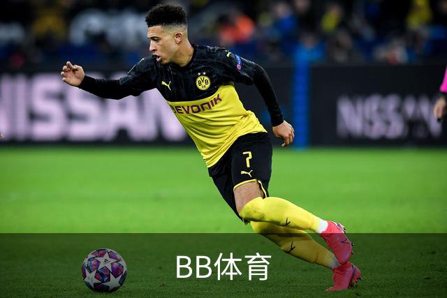 BB体育公司简介